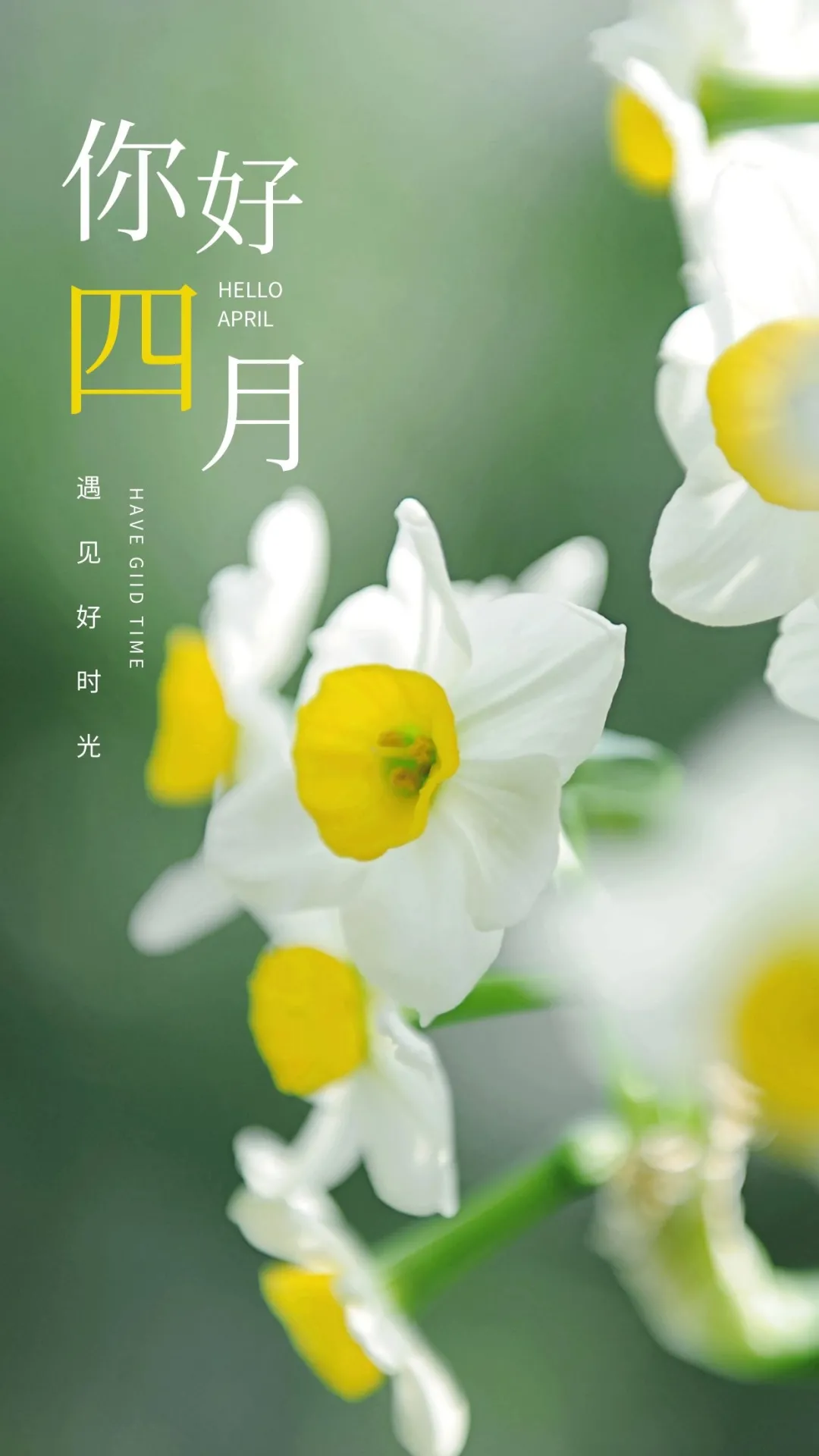 四月你好的图片配图大全，适合4月发朋友圈抖音的文案短句子