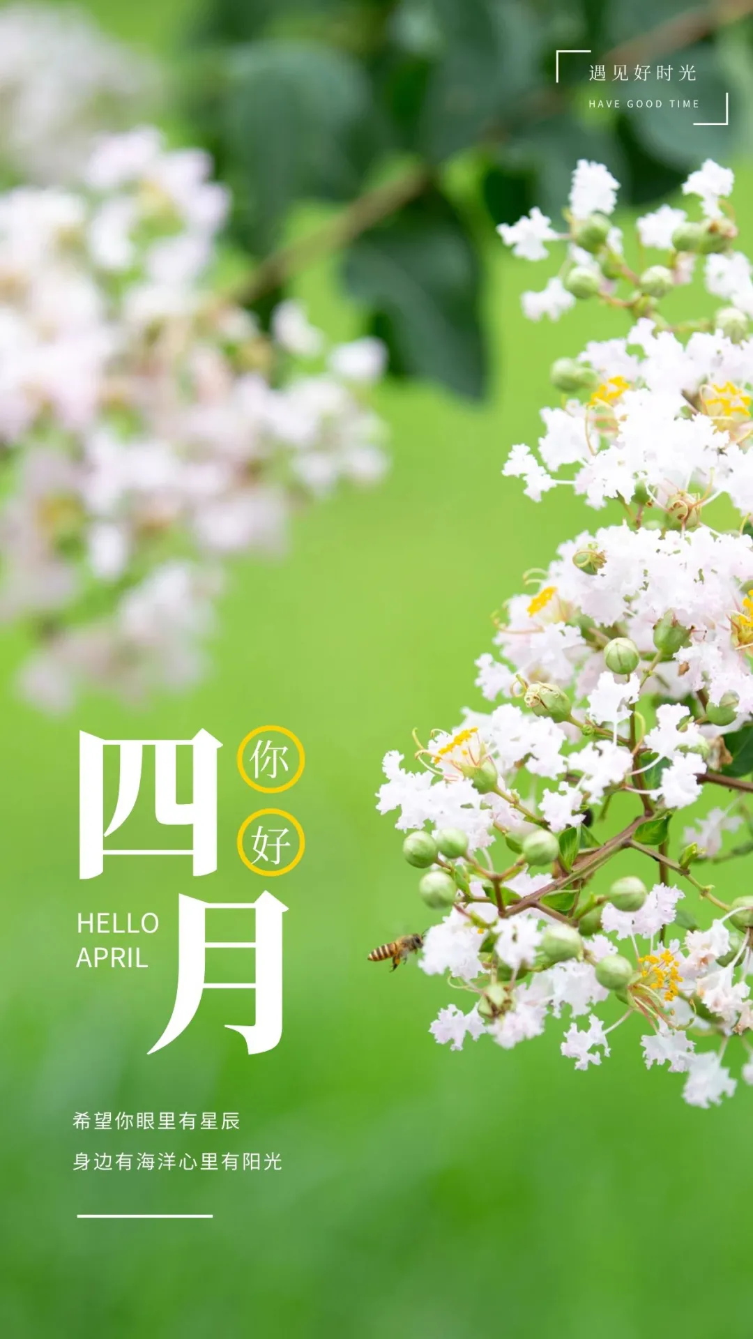 四月你好的图片配图大全，适合4月发朋友圈抖音的文案短句子
