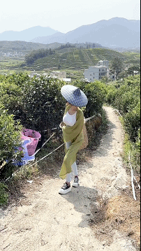 ​劳动的小姐姐最美丽 美女动图 第1张