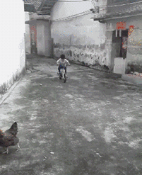 幽默动图：有技术！也嚣张！