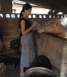 又色又黄的GIF@手里拿的是什么宝物呢 - 第2页 轻松一刻 第3张