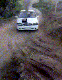 笑死人的沙雕动图：无法直视