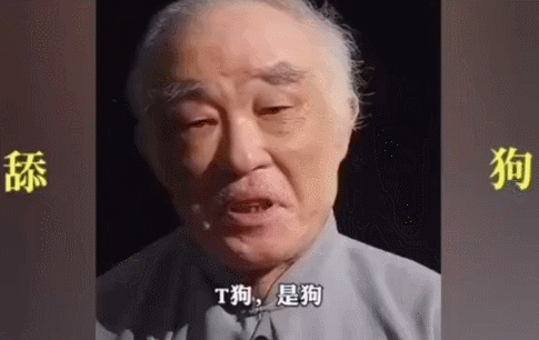 很搞笑的GIF图片:自从有了狗,再没上过老婆床
