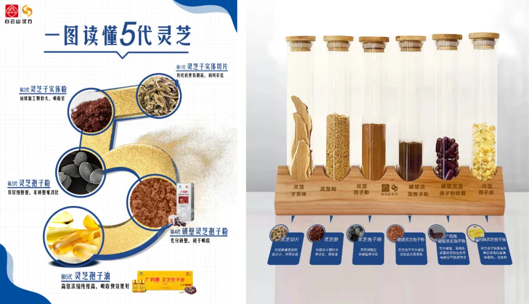 首季开门红！广药白云山净利润大增37%，明星品种广药牌灵芝孢子油销售大涨超50%