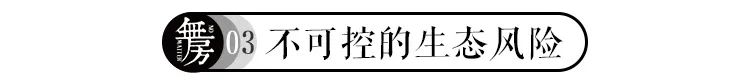 绿城年报预警：多个小镇面临拆除风险