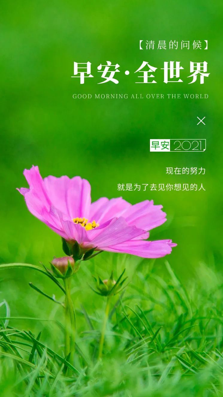 6月6日早安日签图片正能量带字，阳光早上好语句，迎接新的一天