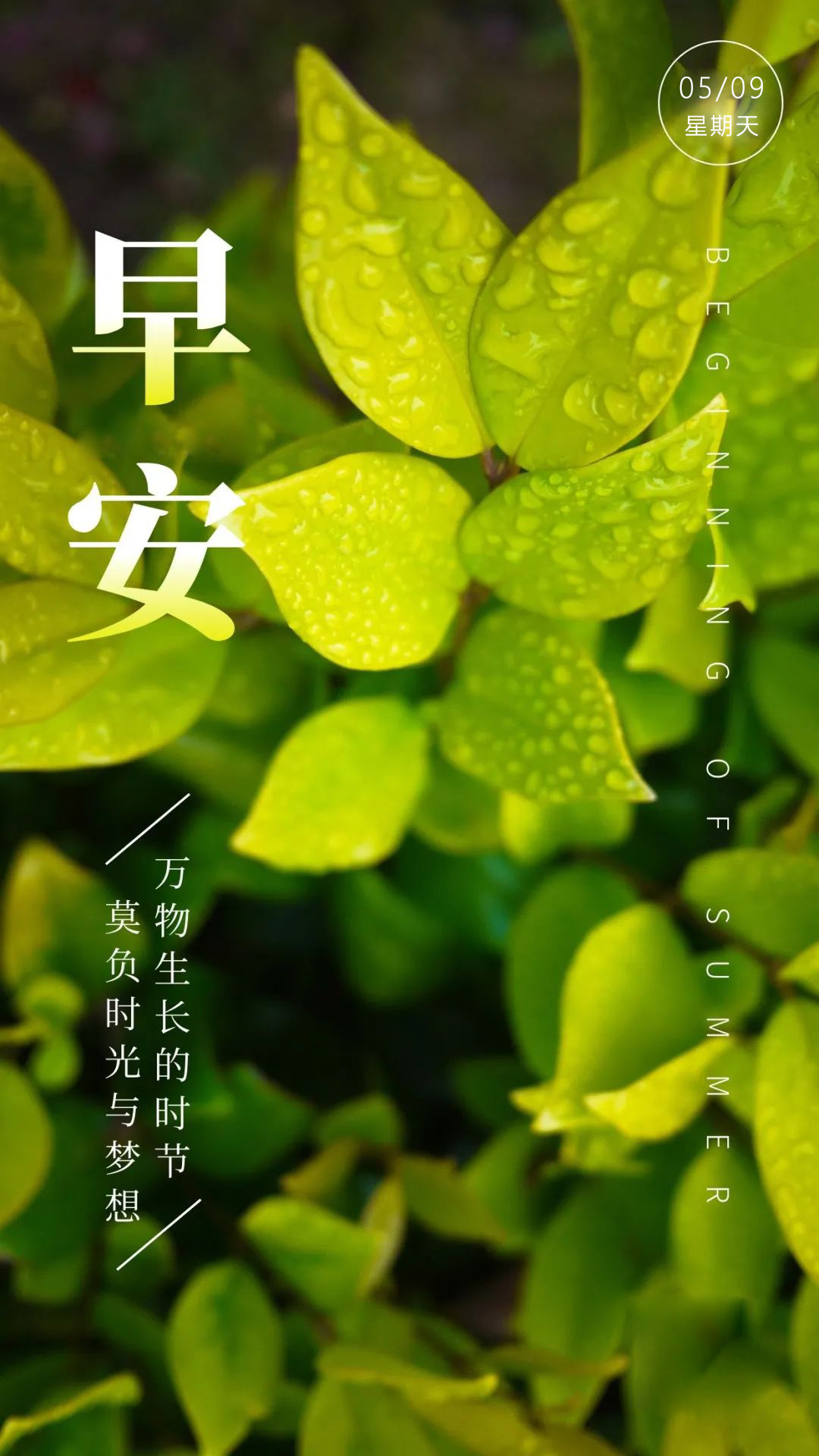 早晨图片日签励志文字，阳光的早上好语句