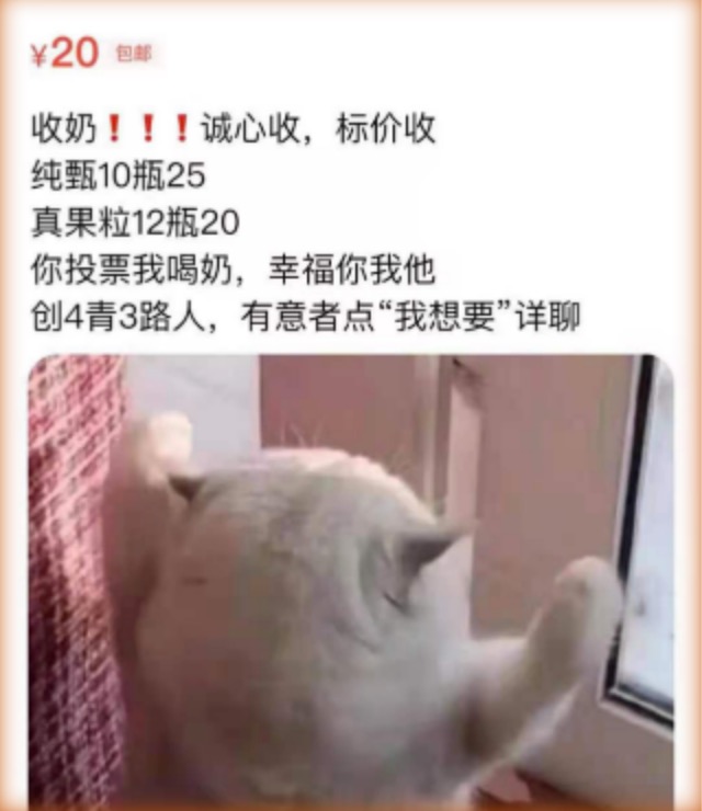 那些全网“收奶”的做局者，也是选秀背后的割韭人？-锋巢网