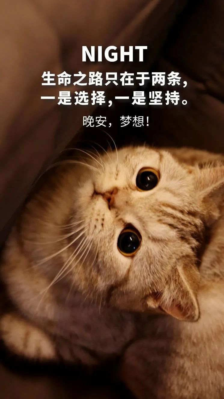 纯粹的朋友圈文案：睡前旧事归于尽，醒来依旧迎花开