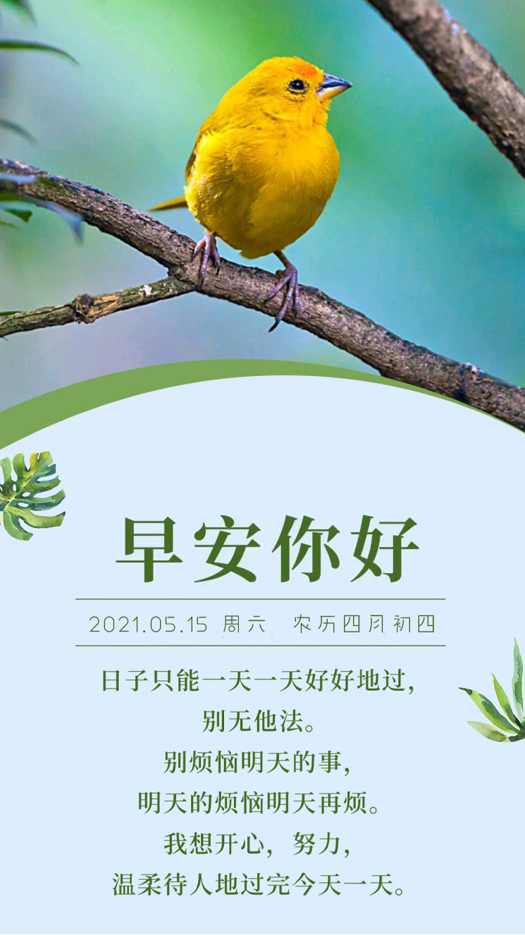适合早上发朋友圈的正能量日签图片带字，阳光向上，出类拔萃