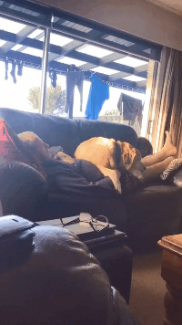 暴搞笑的GIF:小姑娘太认真了!这是不想让闺蜜嫁出去吗?
