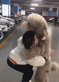 暴搞笑的GIF:小姑娘太认真了!这是不想让闺蜜嫁出去吗?