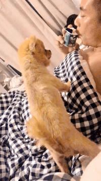暴搞笑的GIF:小姑娘太认真了!这是不想让闺蜜嫁出去吗?