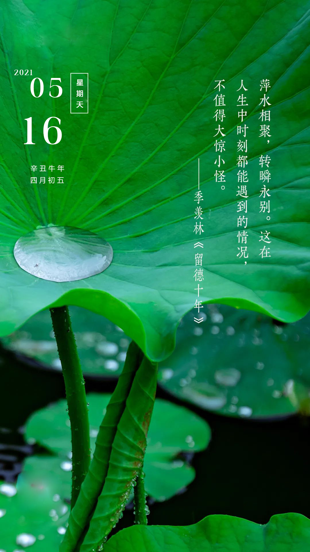 周末早晨好正能量加油语录图片，拥抱改变，把握未来