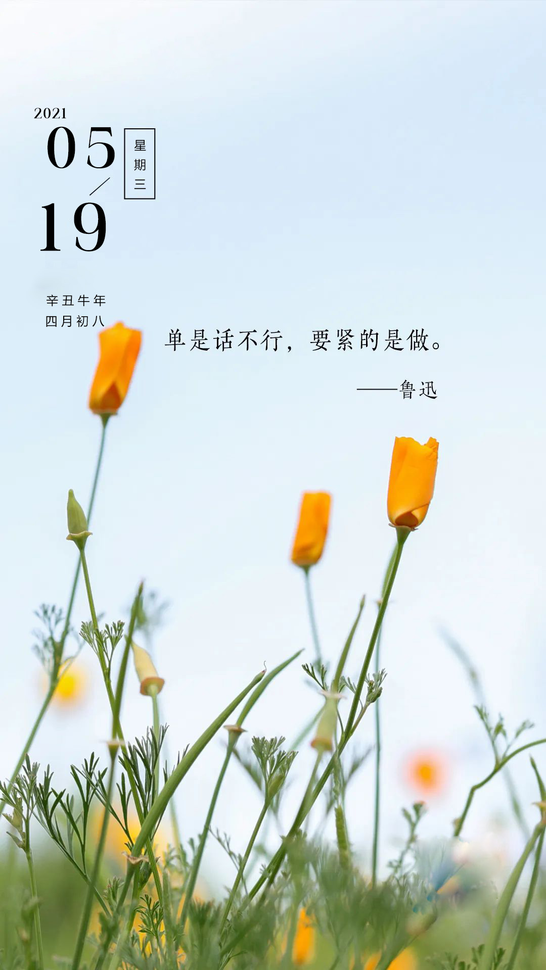 早安心语励志图片带字，努力的话语，激励的图文