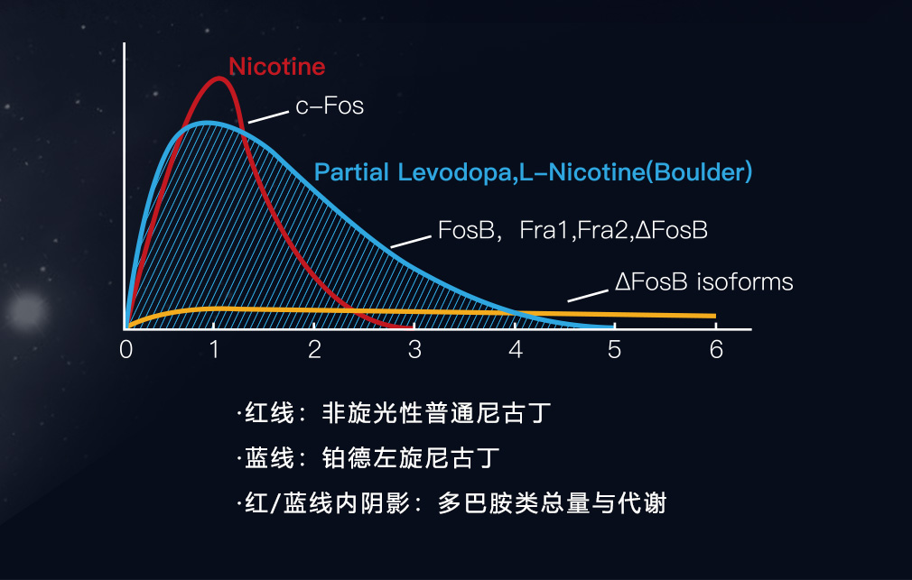 费雪油或成铂德扩张利器 IECIE发布会上曝月店面增量破千