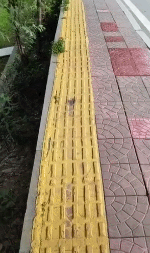 恶搞的GIF动图:这误会大了!