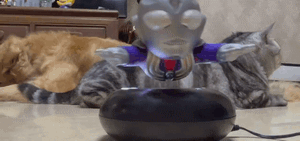 恶搞的GIF动图:这误会大了!