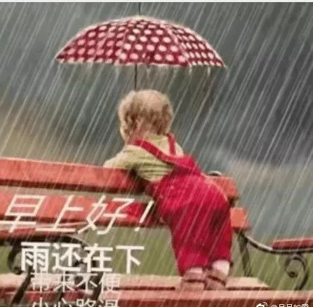 下雨天暖心的问候语带图片