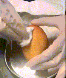 搞笑的GIF图:手法不熟练,只能拿它练手了