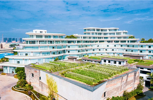 楷模家居：利他的价值观，是企业最大的流量池