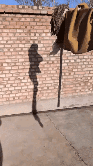 爆笑的GIF图片:求孩子心理阴影面积!