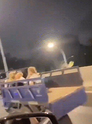 很好笑的GIF:小哥在给别人理发呢,还是在做饭呢?