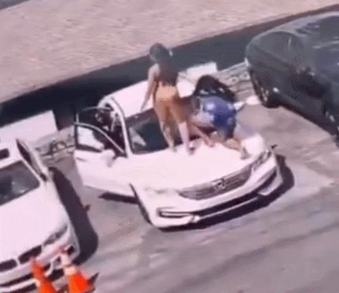 这些GIF太好笑了:有了车,就真的能幸福吗?