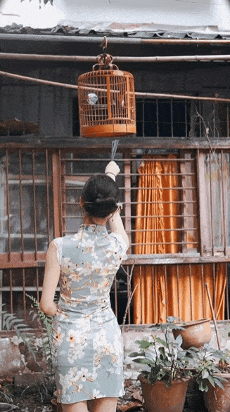 丝袜美女动态图：肉丝黑丝，丝丝入扣！ 美女动图 第1张