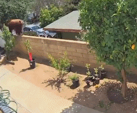 爆好笑的GIF:公司活动!好想体验体验!