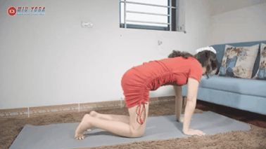 大美女GIF图：这瑜伽动作标准吗？
