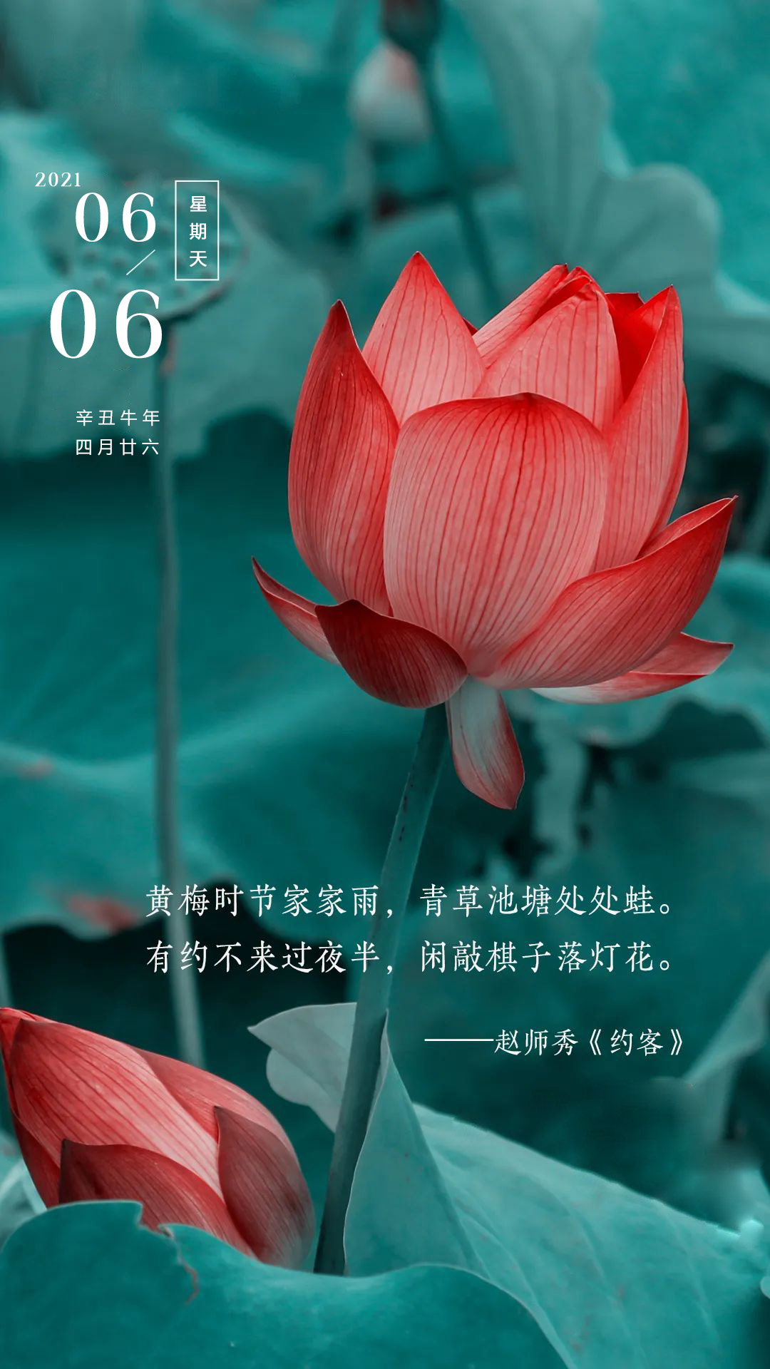 6月6日早安日签图片正能量带字，阳光早上好语句，迎接新的一天