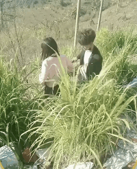 搞笑动图GIF图片:能不能给介绍一下,我也不想努力了