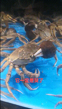 搞笑动图GIF图片:能不能给介绍一下,我也不想努力了