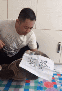 精彩GIF图片:乱停车不留电话,违停轿车直接被叉上房顶