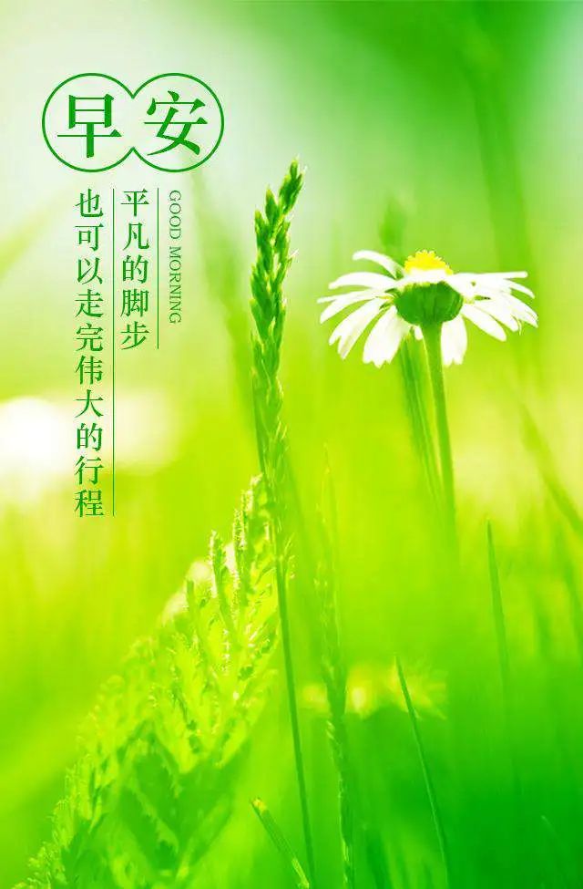 积极向上的早安图片句子，正能量激励早安语