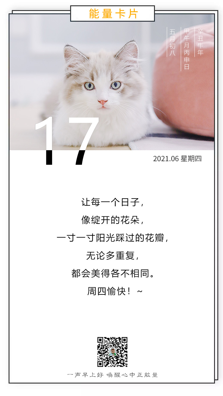 早安朋友圈阳光图片说说，正能量文字日签