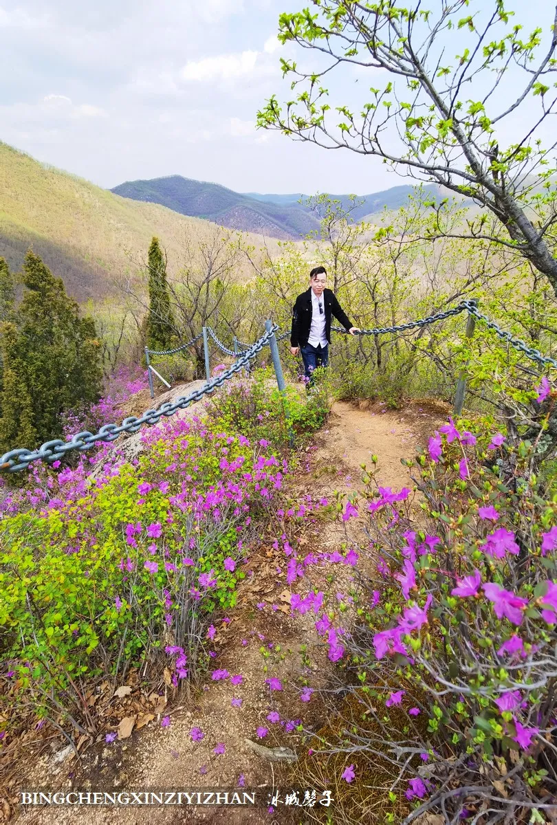 杜鹃花开三道关 牡丹江人的后花园