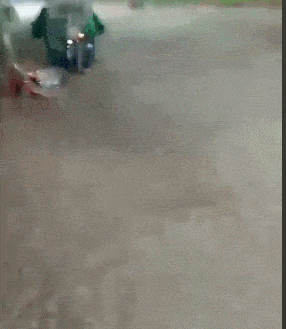 爆笑的GIF动态图:这年头,谁还不是个舔狗!