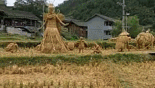 搞笑动态图：二哈从来没让我失望过！