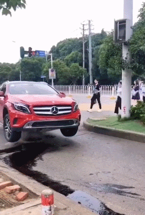 搞笑动态图：二哈从来没让我失望过！