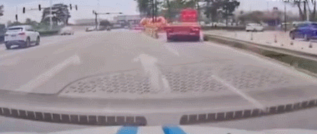 爆笑GIF动态图:等了好久终于等到你了,太开心了!