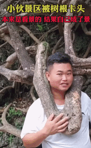 爆笑GIF趣图:这马不讲武德!