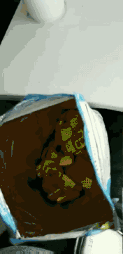 爆笑GIF趣图:世间有真爱,真爱有点怪!