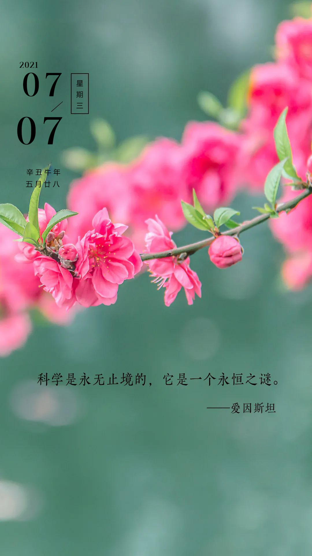 小暑早安说说正能量图片，激励人心的文字，不断迈进