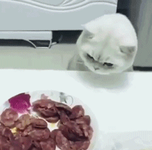 搞笑动图GIF:有奶便是娘,找拉布拉多给小老虎当奶妈!