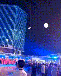 搞笑动图GIF:有奶便是娘,找拉布拉多给小老虎当奶妈!