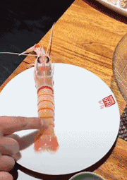 好好笑的GIF:最性感电臀不接受反驳