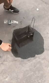 好好笑的GIF:最性感电臀不接受反驳