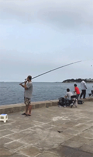 搞笑动图GIF:这一定是亲姐姐,才让弟弟这样玩!